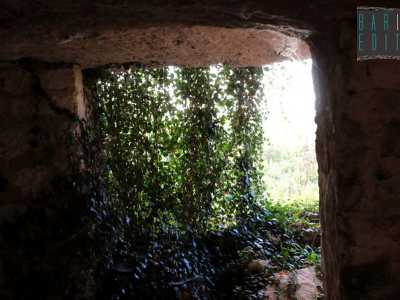 ...anche se l�effetto cromatico che il sole crea con la pianta rampicante che si trova all�ingresso quasi a mo� di tenda, � suggestivo